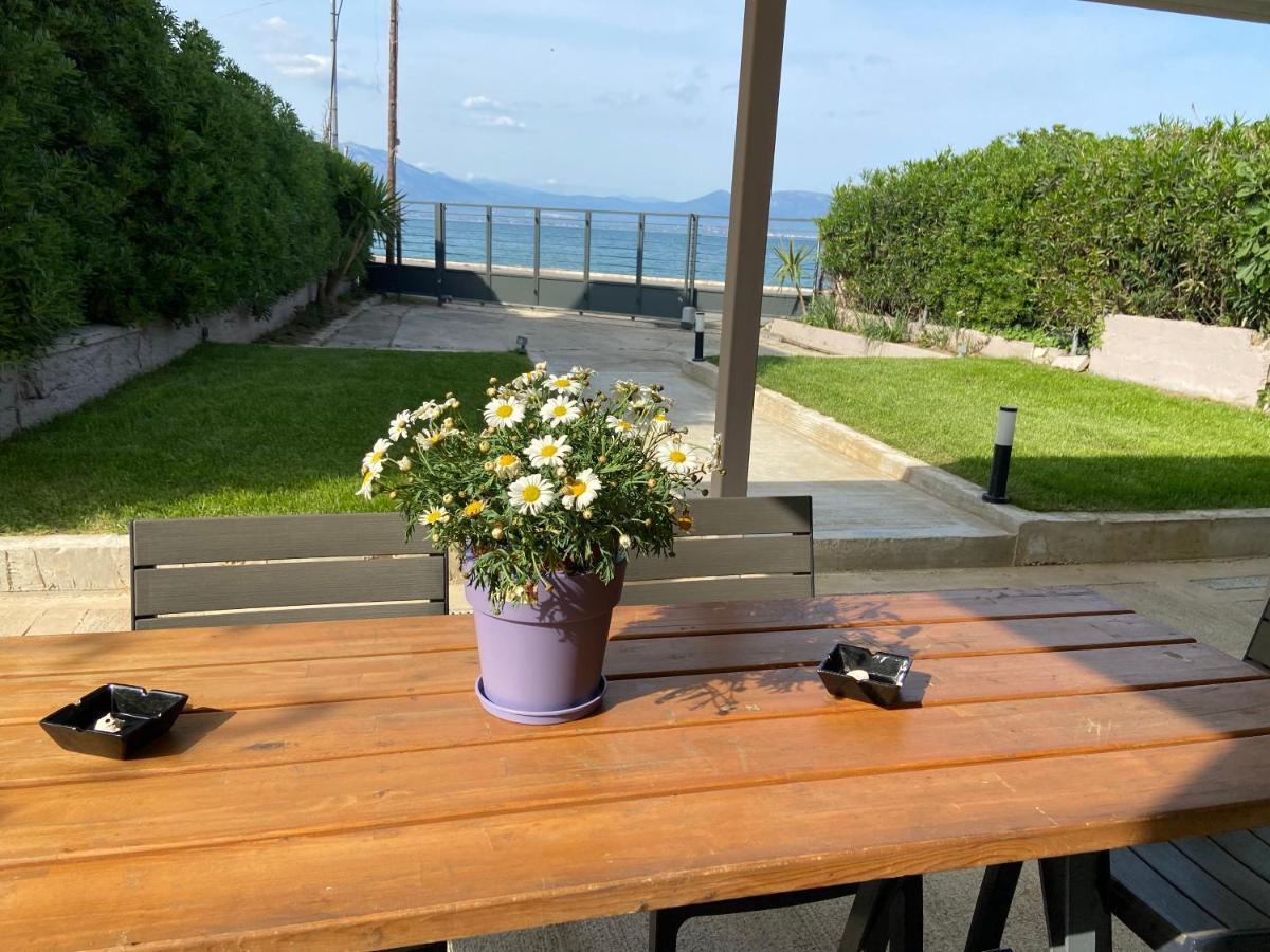 M & F House Villa Oropos Bagian luar foto